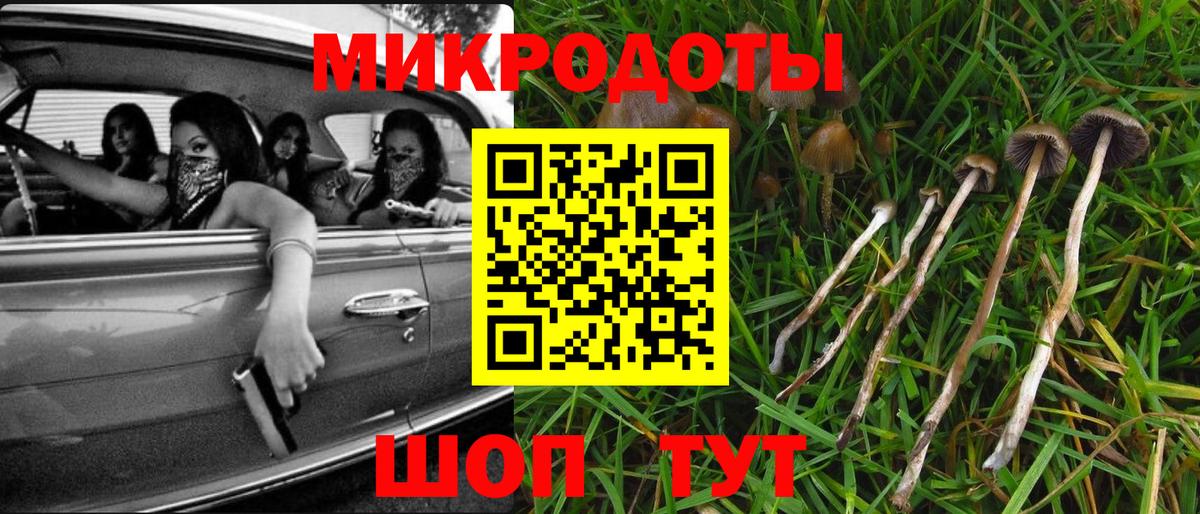 Псилоцибиновые грибы Magic Shrooms Печора