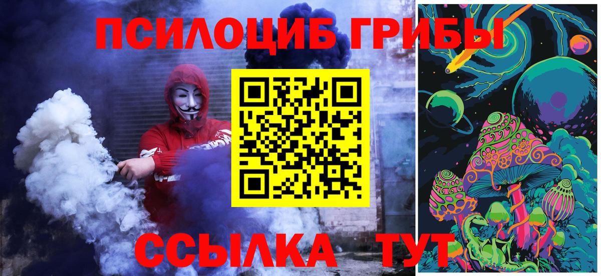 Печора  Псилоцибиновые грибы мицелий  Вход с VPN 